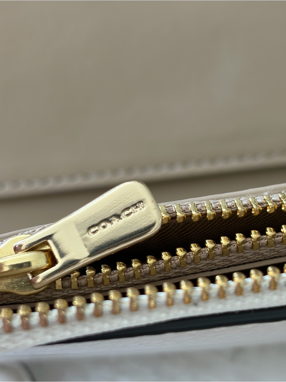 Coach Medium ID Zip Wallet with Floral Whipstitch in Chalk Pebbled Leather - Picture 12 of 15
